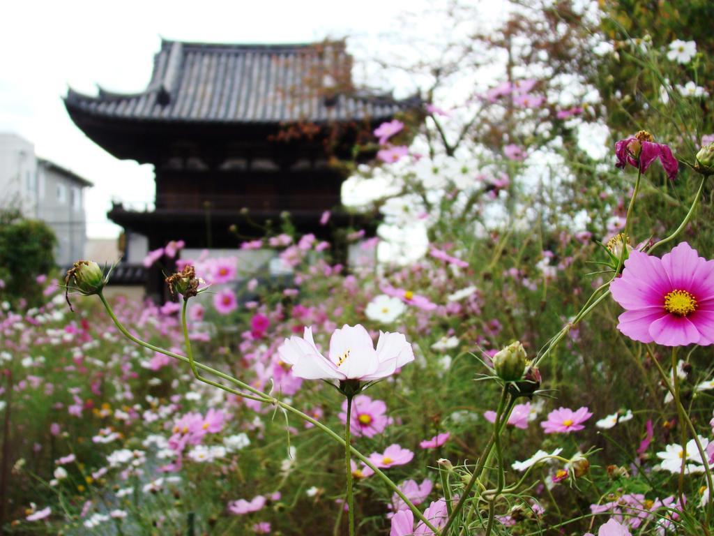 Hotel Yamabe à Tenri Extérieur photo